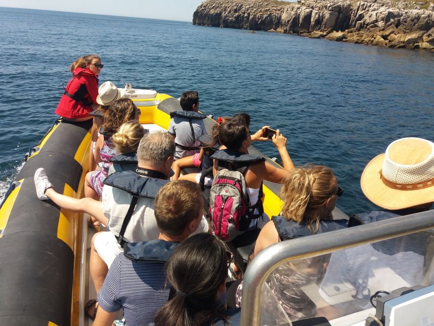 Peniche: Dolphin Route Boat Trip - FAQ