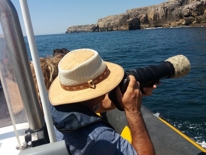 Peniche: Dolphin Route Boat Trip - What the coastline looks like from the boat