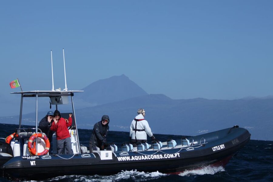 Pico Island: Azores Whale & Dolphin Watching on Zodiac Boat - Leaving Pico’s coast behind you