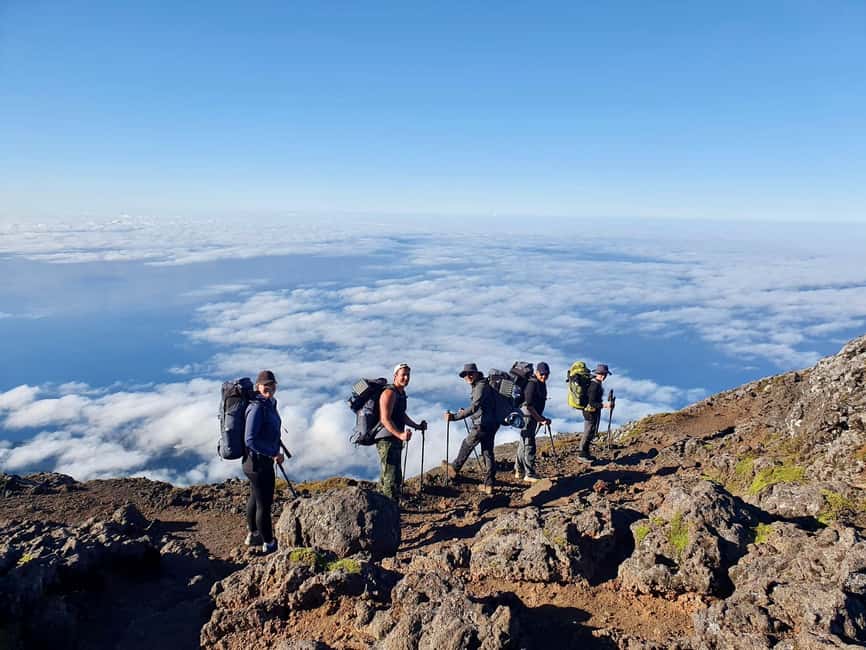Pico island: Climb Mount Pico, highest mountain in Portugal - The First Hours Through Pico’s Native Plants