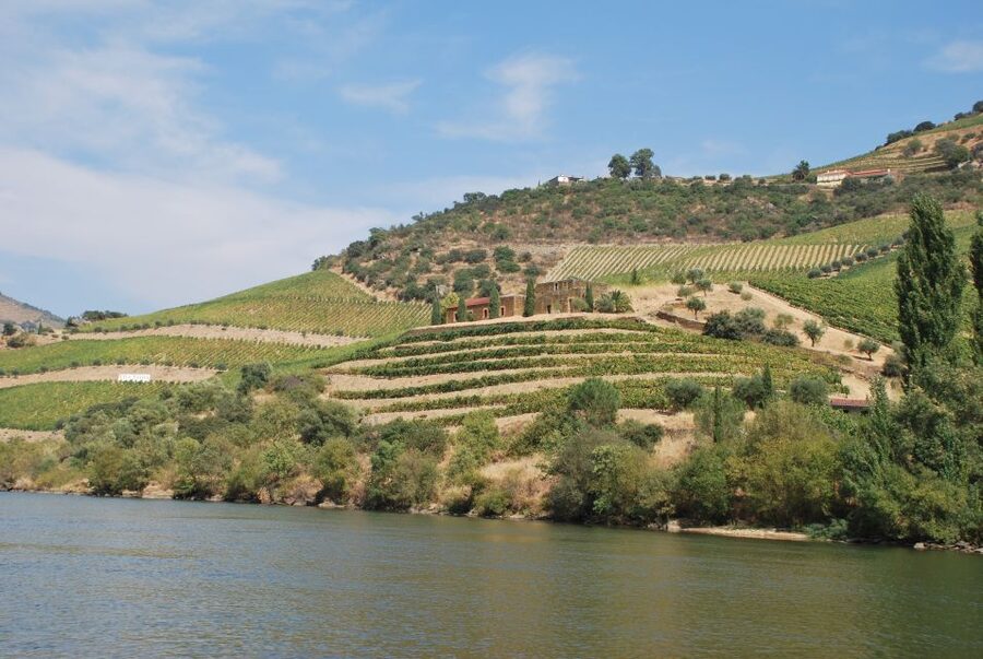 Pinhão: 2-Hour Rabelo Boat Tour with Audio Guide - From the Magnifico Douro pier to the iron bridge