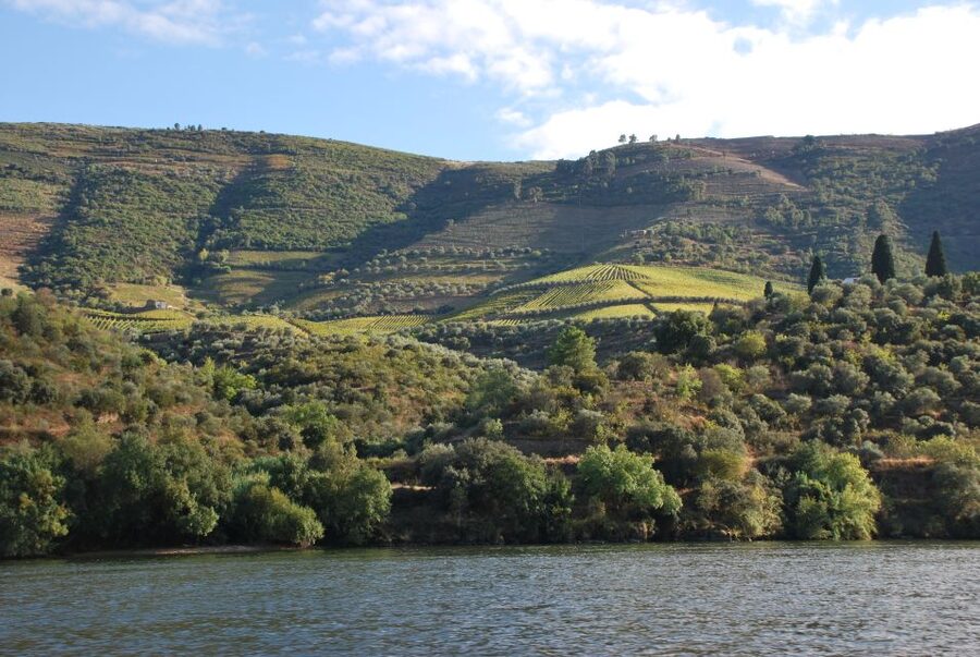 Pinhão: 2-Hour Rabelo Boat Tour with Audio Guide - The return past Roriz, Pessegueiro, and Ventozelo