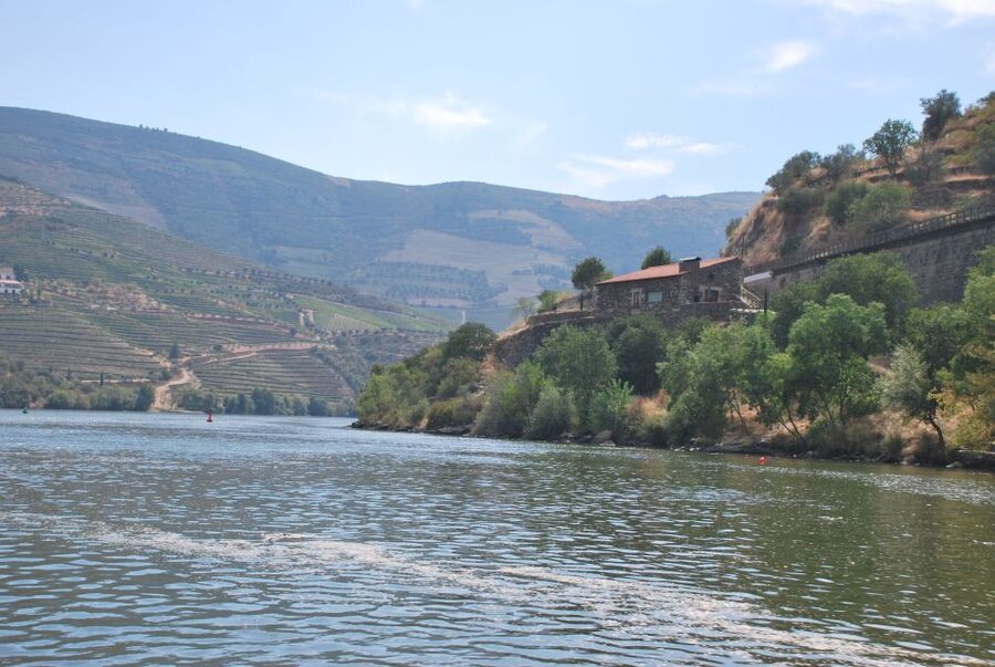 Pinhão: 2-Hour Rabelo Boat Tour with Audio Guide - Pinhão Bridge and the first vineyard views