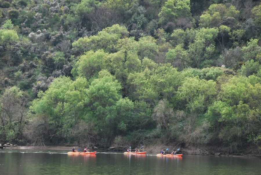 Pinhão: 4 Hour Douro Valley Kayak Rental - Paddling onto the Douro near Pinhão