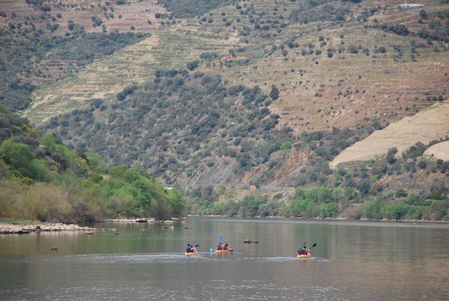 Pinhão: 4 Hour Douro Valley Kayak Rental - Who will enjoy this Pinhão kayak outing?