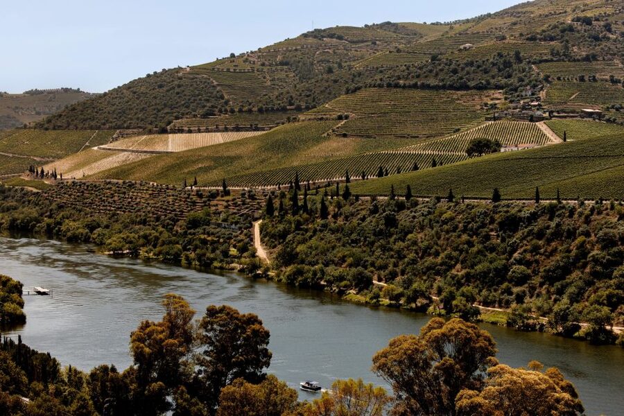 Pinhão: Douro River Boat Tour with Lunch - Who will enjoy this Douro outing most?