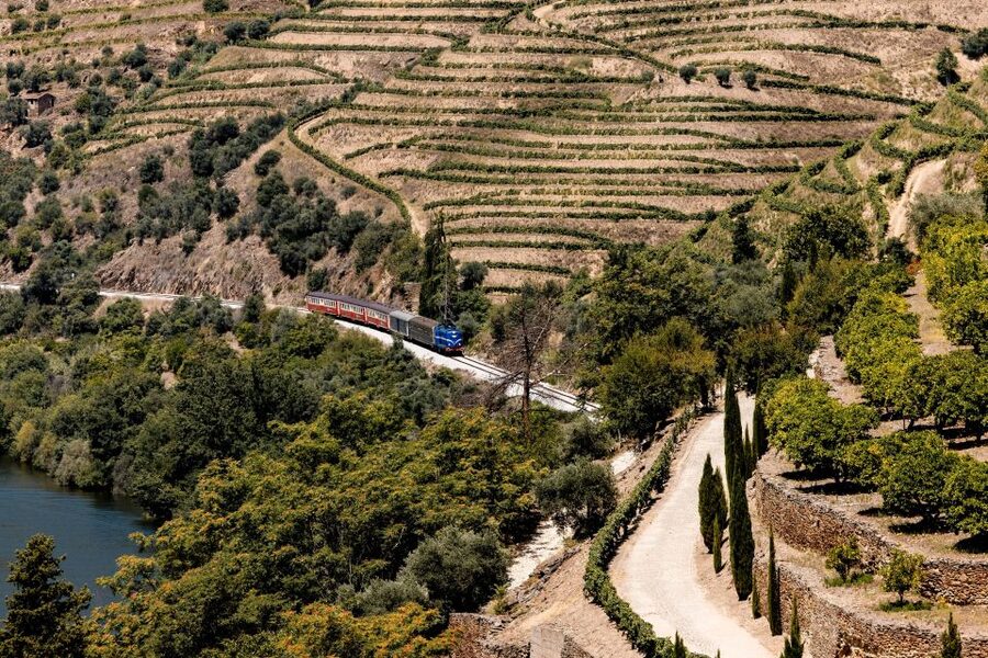 Pinhão: Douro River Boat Tour with Lunch - Should you book the Pinhão boat tour with lunch?