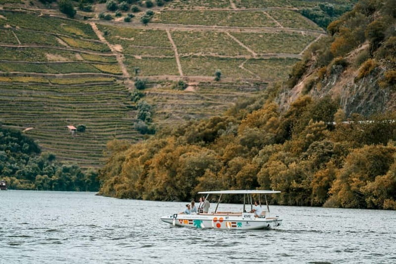 Pinhão: Douro River Solar Boat Tour with Wine Tasting - Practical timing and cancellation advice
