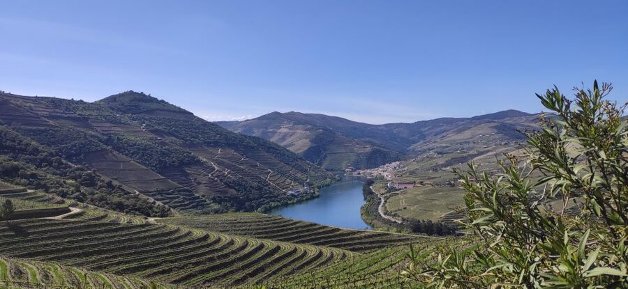 Pinhão: Douro Valley with Wine Tasting, Boat Trip and Lunch - The first quinta puts Douro wine in context