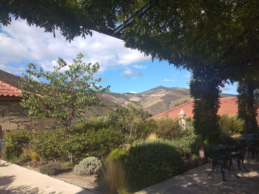 Pinhão: Douro Valley with Wine Tasting, Boat Trip and Lunch - A local lunch in Pinhão breaks up the tastings