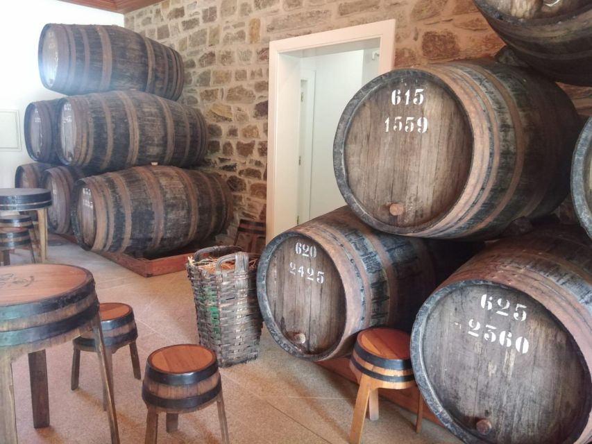 Pinhão: Douro Valley with Wine Tasting, Boat Trip and Lunch - The minivan makes a complicated region easier