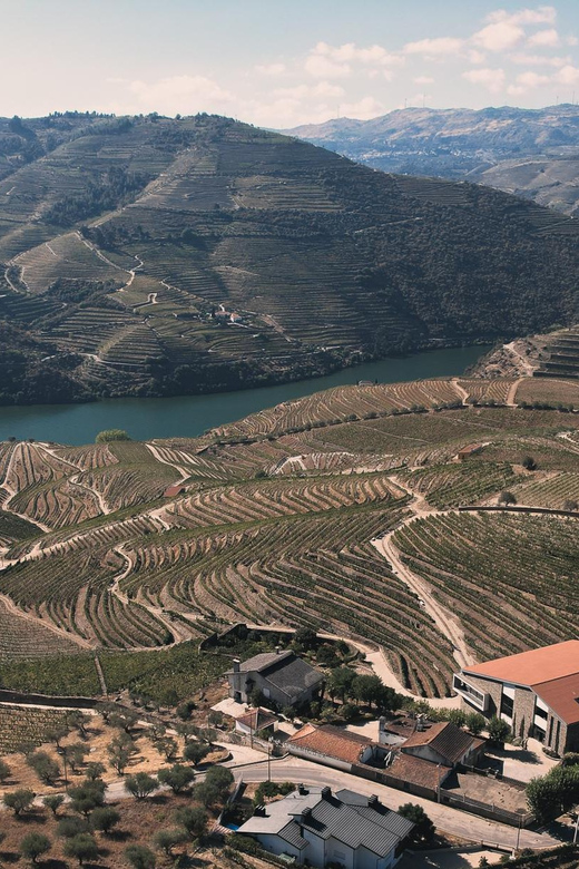 Pinhão: Quinta da Formigosa Vineyard Tour and Wine Tasting - What $35 buys you