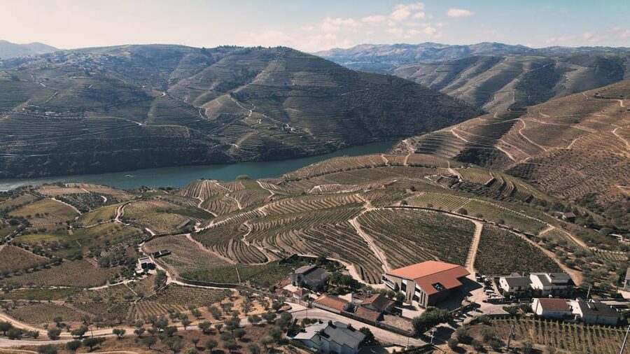 Pinhão: Quinta da Formigosa Vineyard Tour and Wine Tasting - Who will enjoy Quinta da Formigosa most
