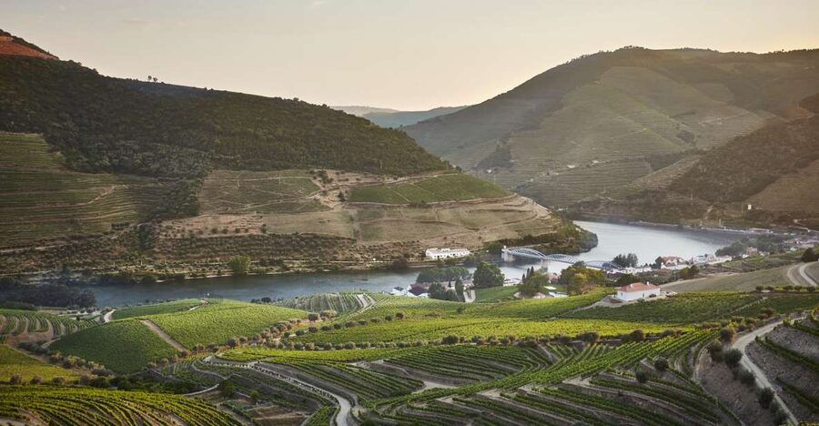 Pinhão: Quinta do Bomfim Visit and Tasting - What makes Quinta do Bomfim worth your time