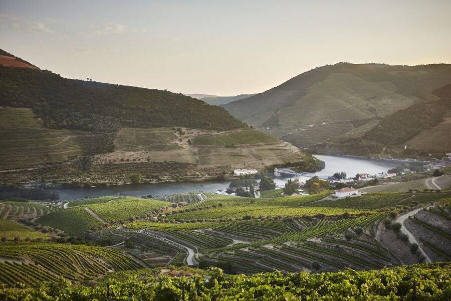 Pinhão: Quinta do Bomfim Visit and Tasting - Arriving at the Quinta do Bomfim Visitor Center