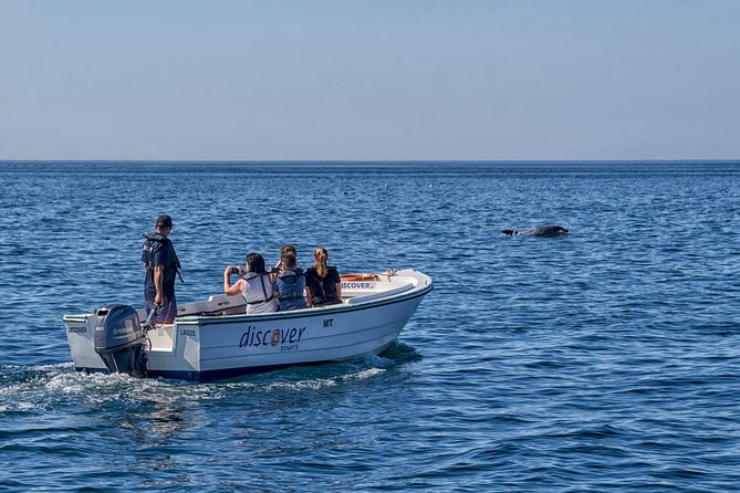 Ponta da Piedade Boat Tour to Caves and Beaches with Local Guide - Why Ponta da Piedade is best seen from the sea