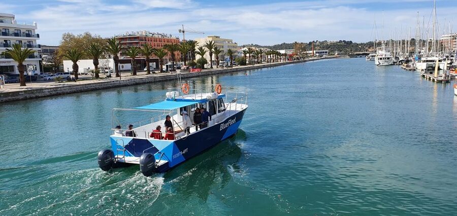 Ponta da Piedade: Half-Day Cruise with Lunch from Lagos - Who will enjoy this Lagos cruise most?