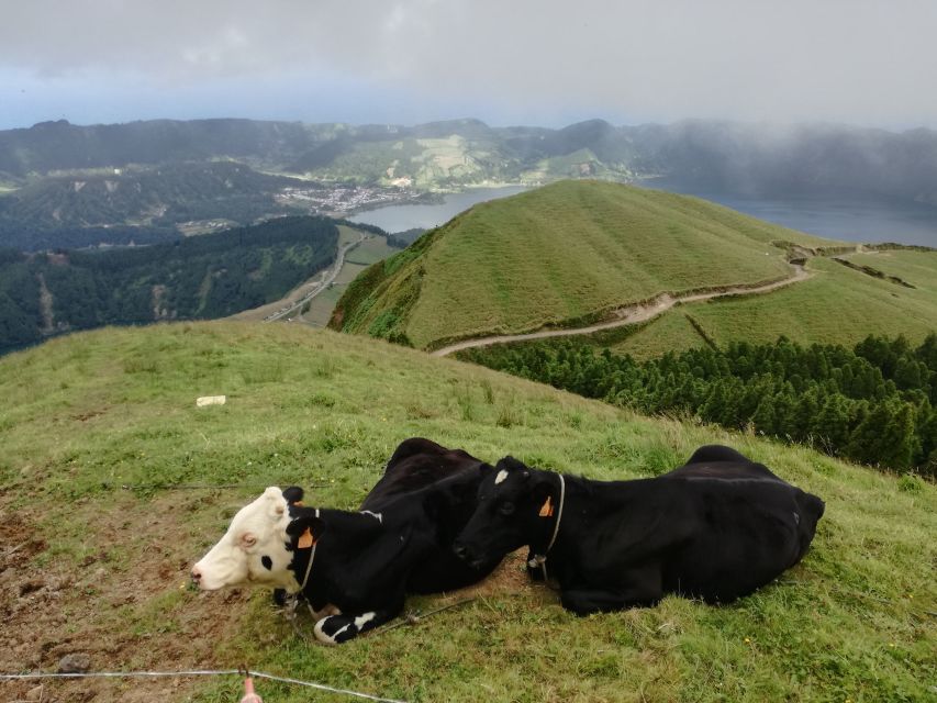 Ponta Delgada: Full-Day Sete Cidades 4X4 Tour with Lunch - Weather, Vehicle Problems, and Real-World Flexibility