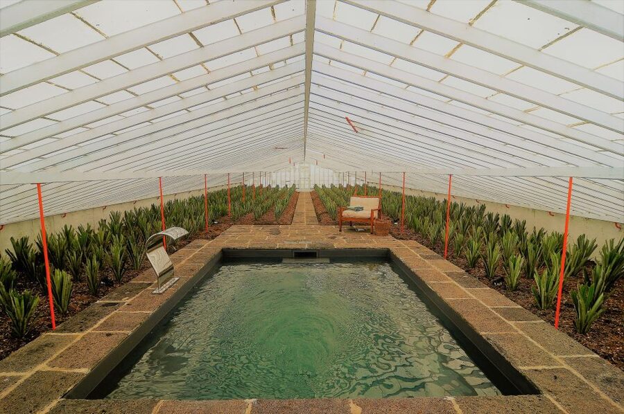 Ponta Delgada: Greenhouse Hot Tube with Pineapple Tour - Why this São Miguel experience is different