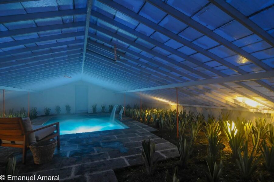 Ponta Delgada: Greenhouse Hot Tube with Pineapple Tour - Soaking among the pineapple plants