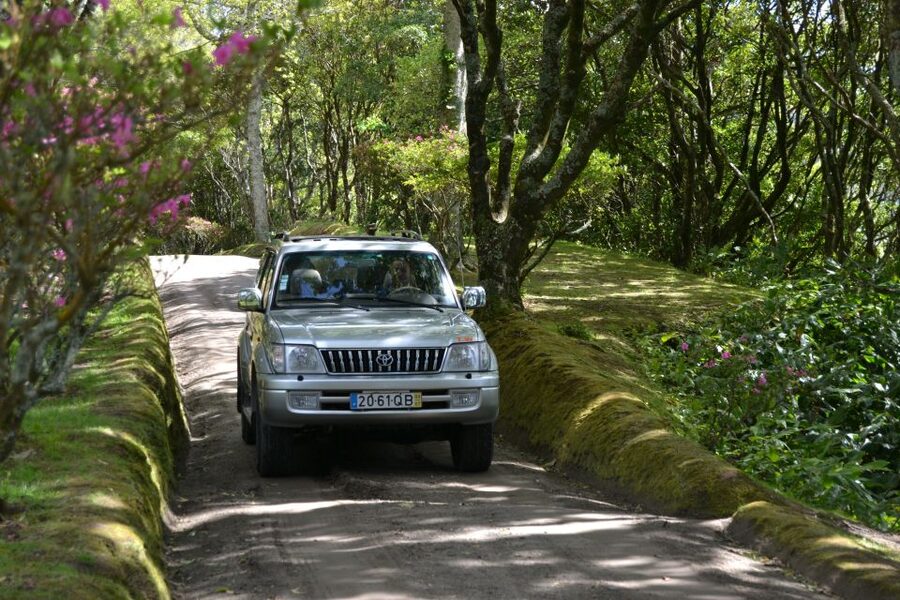 Ponta Delgada: Half-Day 4x4 Sete Cidades Trip - Hotel Pickup Makes a Short Tour Easier