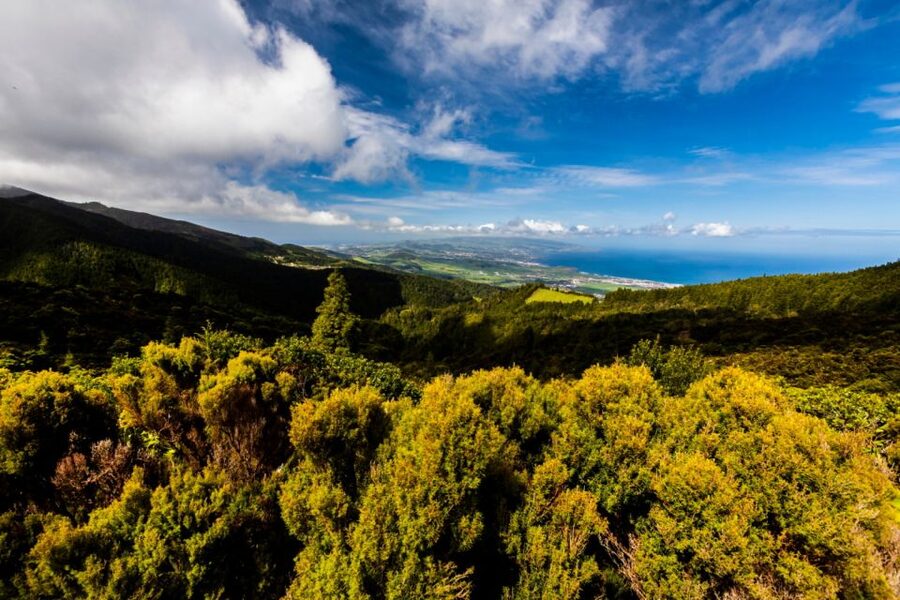 Ponta Delgada: Hidden Gems of São Miguel Full-Day Van Tour - Why this tour works for seeing more of São Miguel