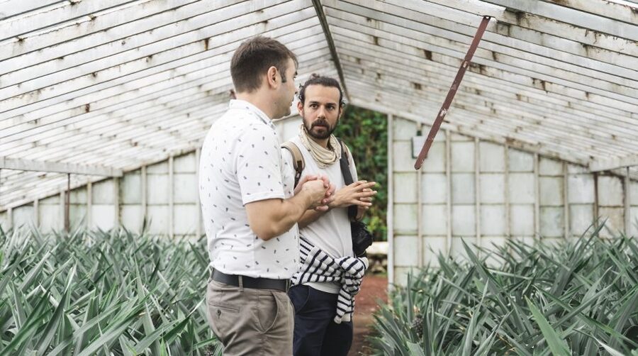 Ponta Delgada: Pineapple wine tasting and pineapple tour - A garden visit that can last longer than the tour
