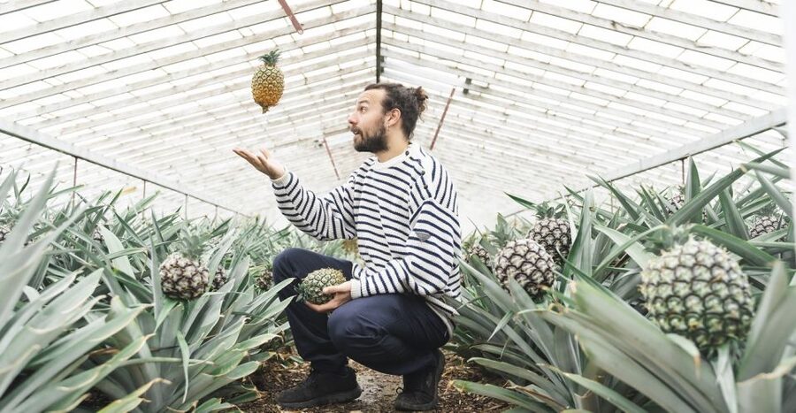 Ponta Delgada: Pineapple wine tasting and pineapple tour - Useful planning details before you book