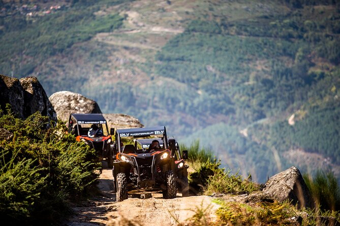 Ponte de Lima Guided Buggy Tour - Key points before you book