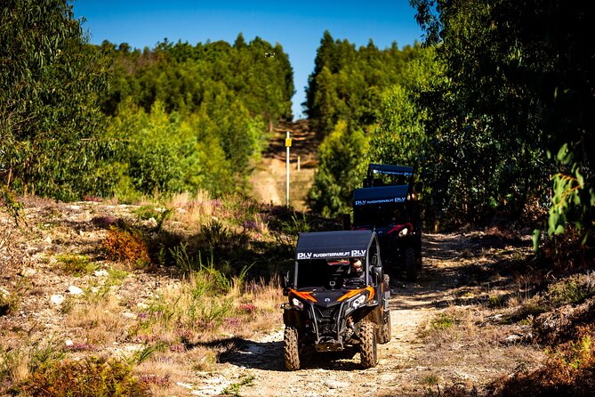 Ponte de Lima Guided Buggy Tour - Views toward Viana do Castelo