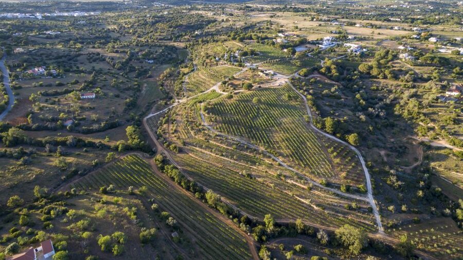 Porches: Algarve Vineyard Tour and Wine Tasting Experience - Arriving at Quinta dos Capinhas near Porches