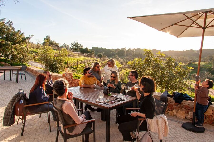 Porches: Algarve Vineyard Tour and Wine Tasting Experience - A short walk through the vineyard