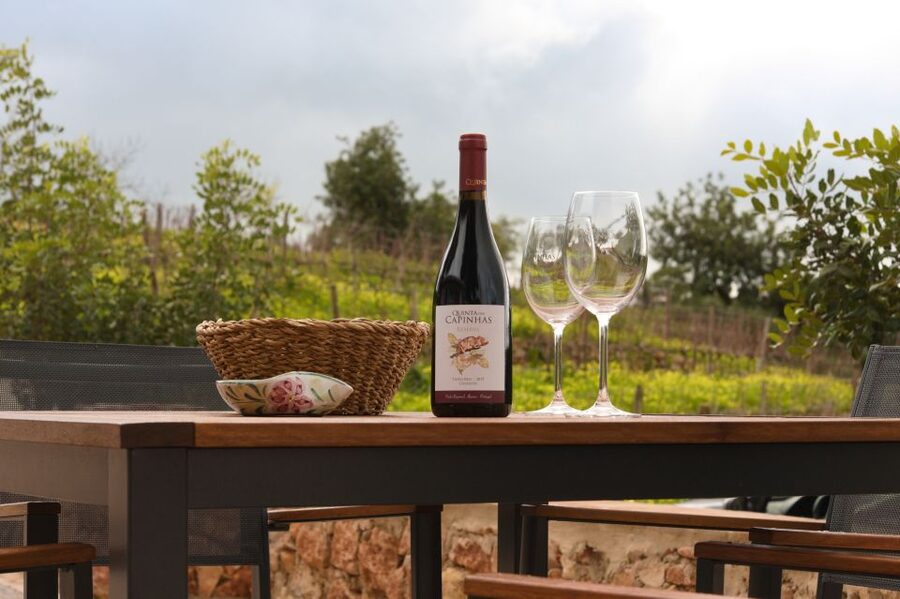 Porches: Algarve Vineyard Tour and Wine Tasting Experience - Tapas that make the tasting feel like a meal