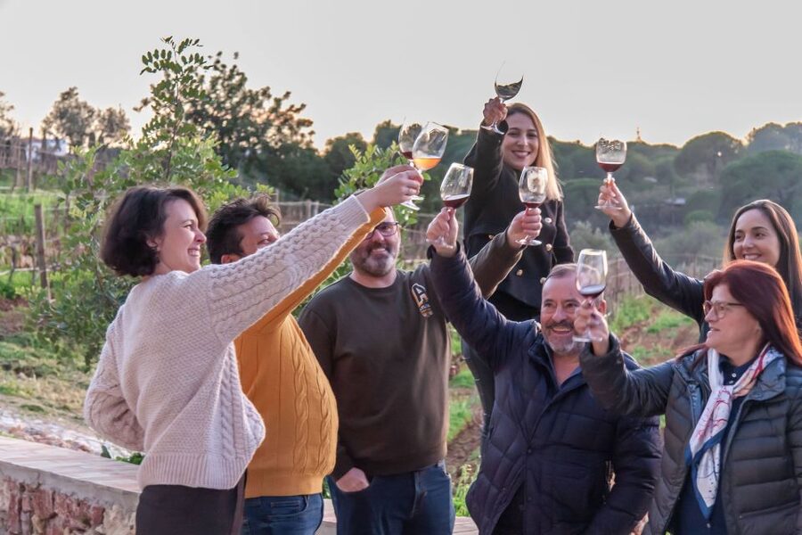Porches: Algarve Vineyard Tour and Wine Tasting Experience - The wine bar and scenic finish