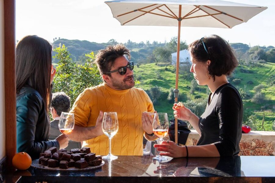 Porches: Algarve Vineyard Tour and Wine Tasting Experience - Buying bottles at the end