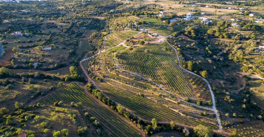 Porches: Algarve Vineyard Tour and Wine Tasting Experience - The family story behind the vineyard