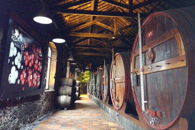 Port Wine Lodges Tour Including 7 Port Wine Tastings (English) - Who will enjoy this afternoon most?