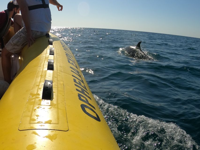 Portimão: 2-Hour Dolphin Watching Boat Tour - What to bring and what to leave behind