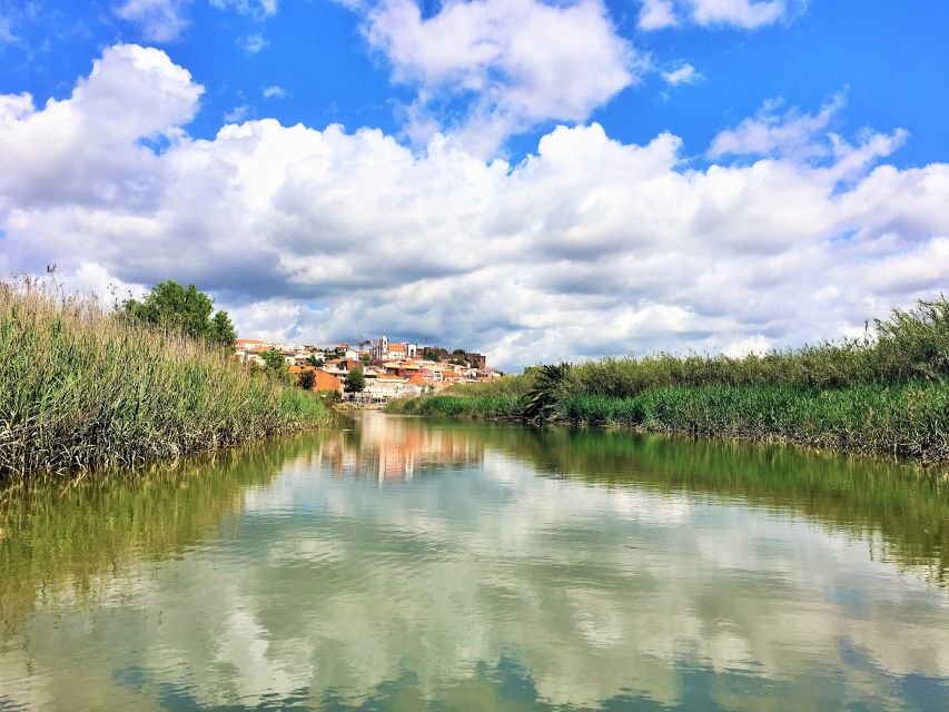 Portimão: Silves & Arade River History Tour on a Solar Boat - Is $49 good value for this half-day outing?