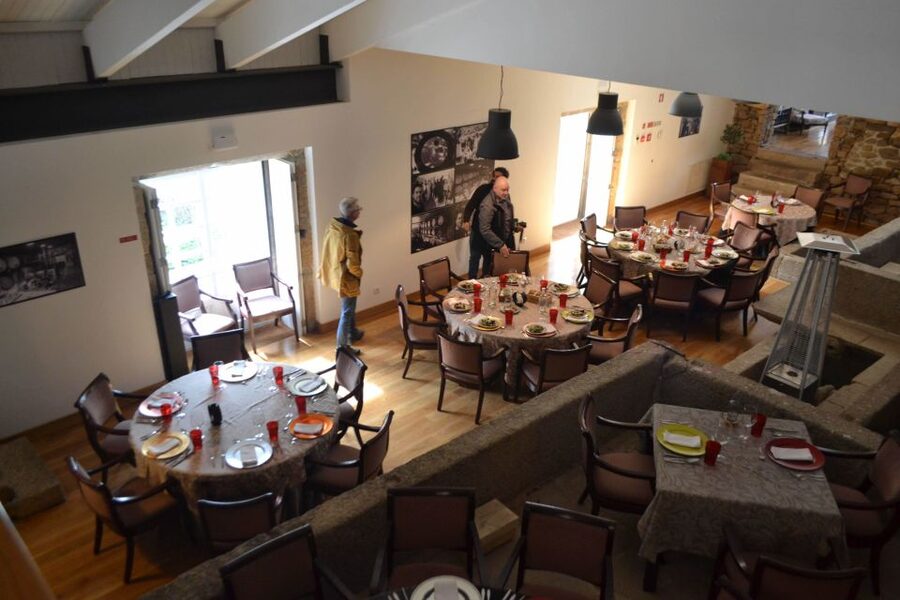 Porto: 3 Douro Valley Vineyards Tour with Lunch - Should you book the Douro Valley wine tour?