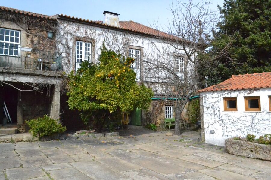 Porto: 3 Douro Valley Vineyards Tour with Lunch - Why the Douro Valley deserves a full day