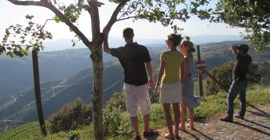 Porto: 3 Douro Valley Vineyards Tour with Lunch - The second vineyard brings the best meal and views