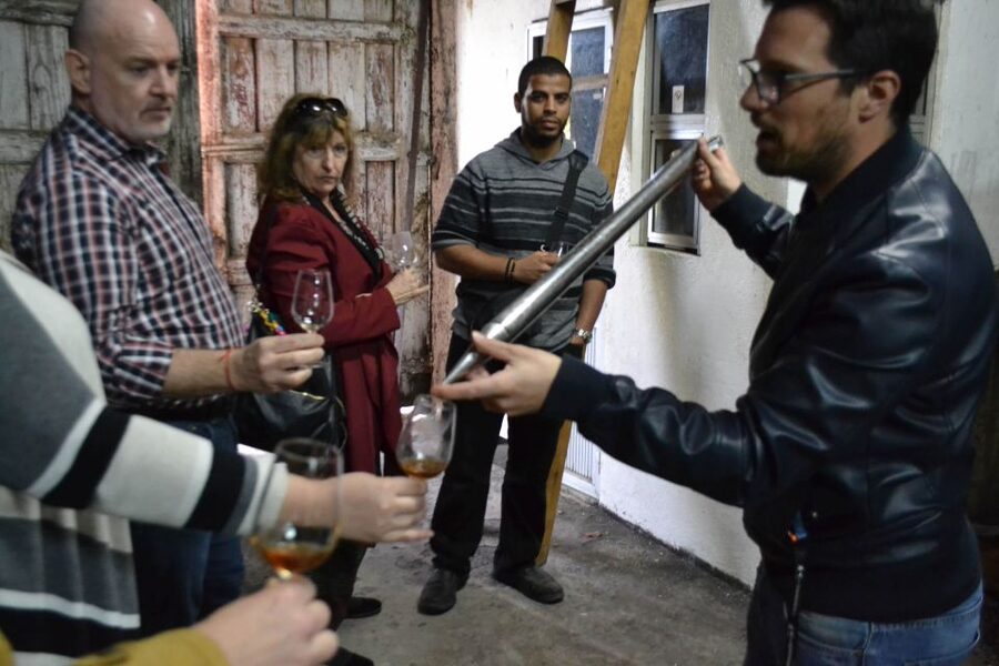 Porto: 3 Douro Valley Vineyards Tour with Lunch - The final producer shows another side of wine country