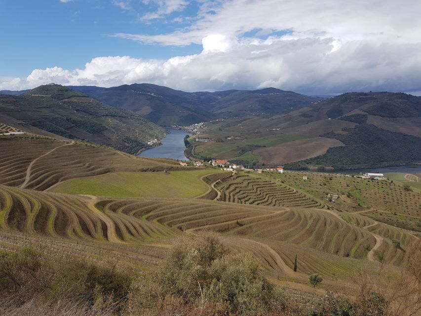 Porto: 3 Douro Valley Vineyards Tour with Lunch - The drive along Highway 222 is not filler