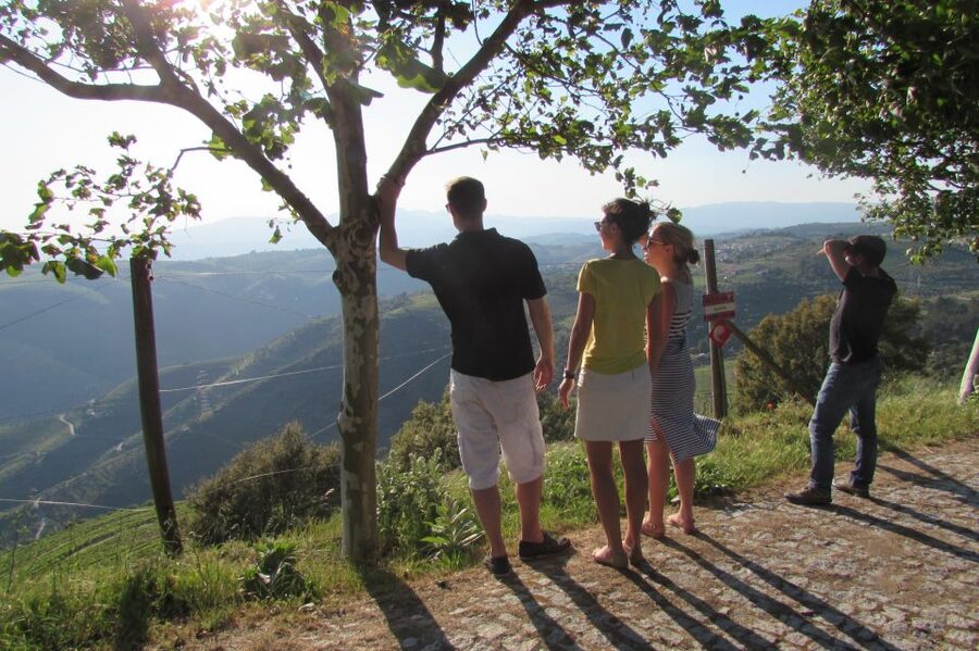 Porto: 3 Douro Valley Vineyards Tour with Lunch - The first vineyard: a personal welcome and varied tasting