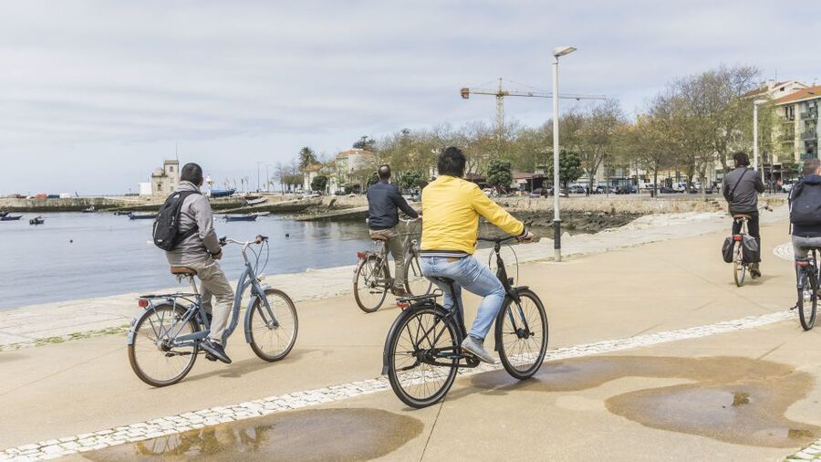 Porto: 3-Hour Bike Tour - City Park, Pasteleira, and the quieter return