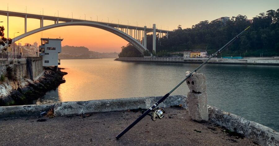 Porto: 3-Hour Bike Tour - The guides make the difference