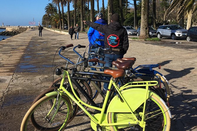 Porto: 3-Hour Old Town & Riverside Bike Tour - Guided Experience - Porto City Park and the Wider View