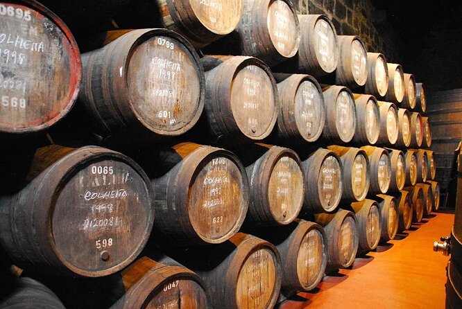 Porto: 3-Hour Old Town & Riverside Bike Tour - Guided Experience - What the Guides Add