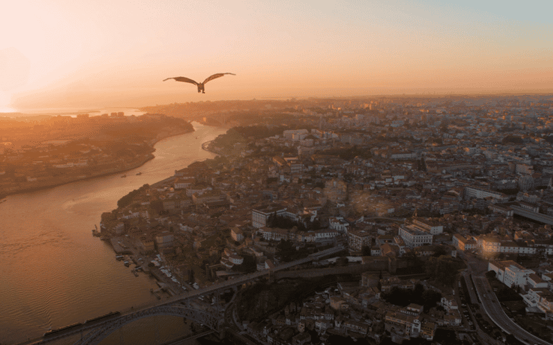 Porto: 5D Flight over de City for all family. - Why the city-center address helps